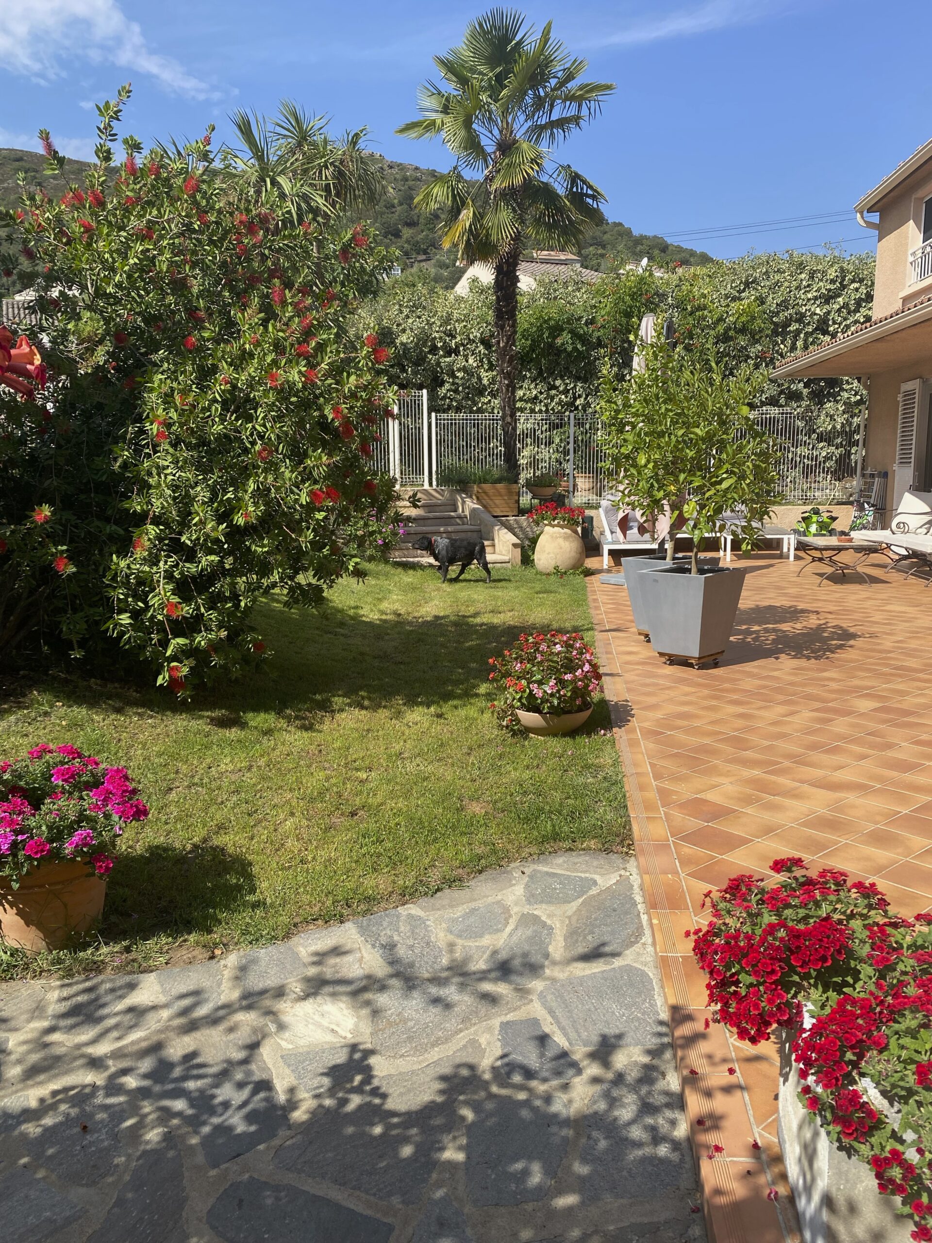 location maison zicavo 2